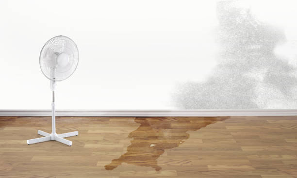 Best Professional water damage repair  in Fair Oaks Ranch, TX
