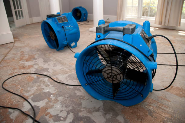 Water damage restoration mold remediation in Fair Oaks Ranch, TX