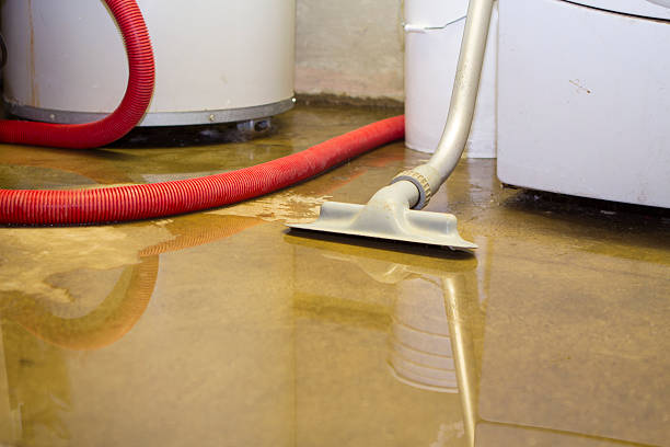 Best Local water damage restoration  in Fair Oaks Ranch, TX